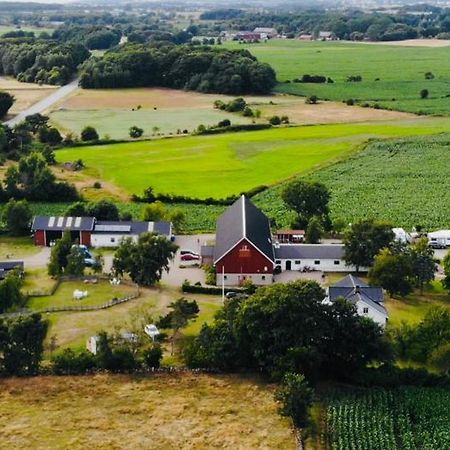 Roedlix Vandrarhem & Camping Tvaaker Bagian luar foto